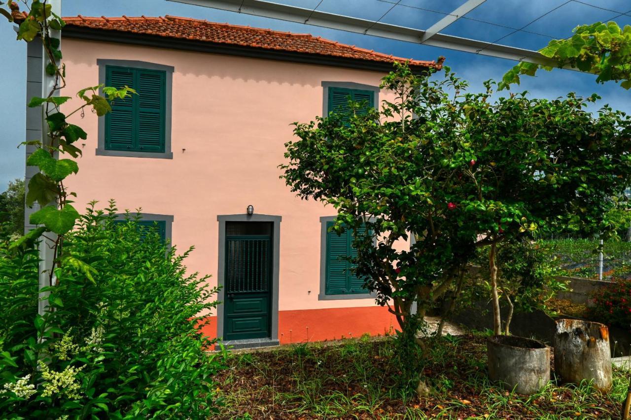 Os Ferreirinhos, A Home In Madeira Sao Jorge  Exterior photo