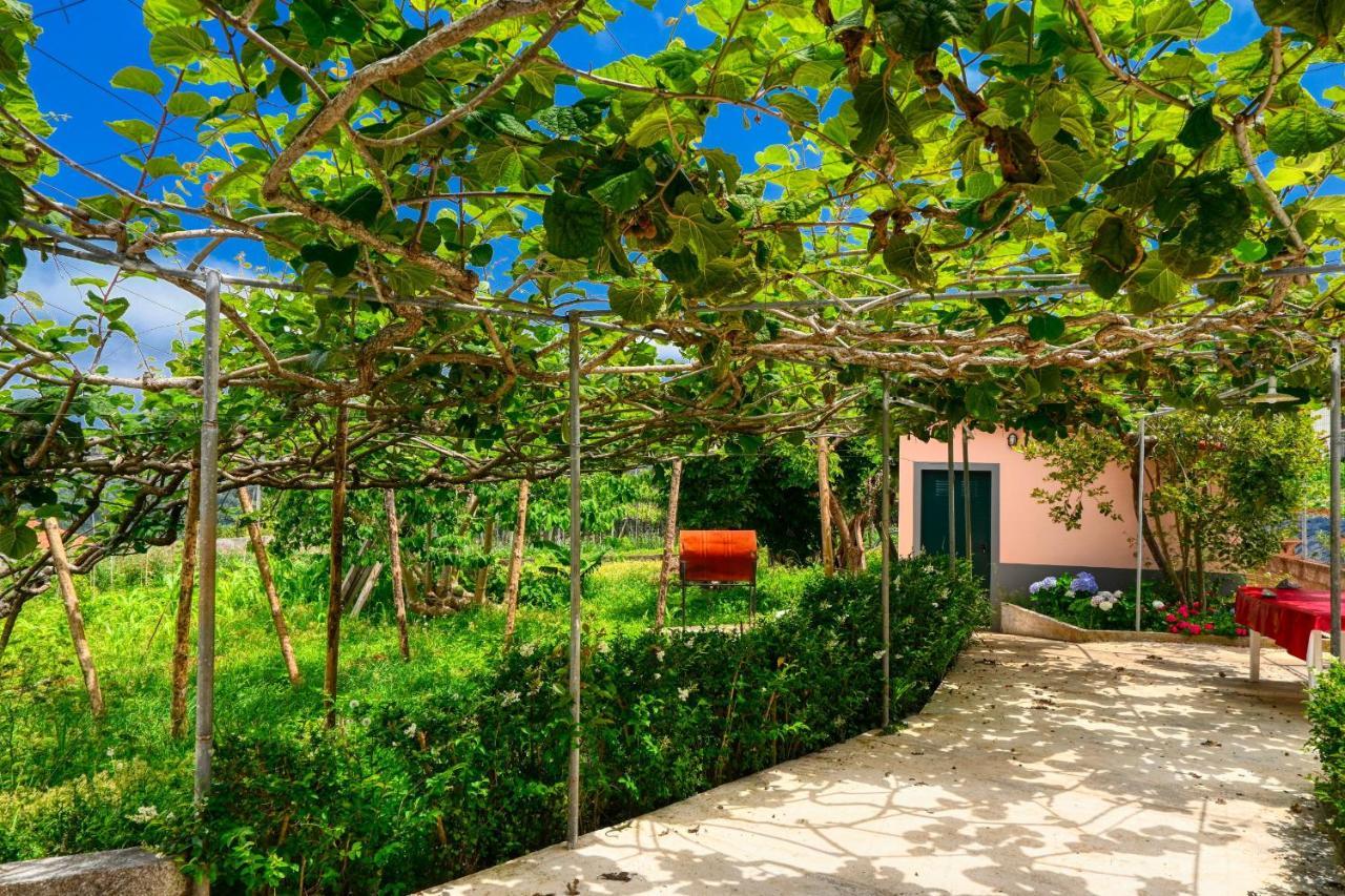 Os Ferreirinhos, A Home In Madeira Sao Jorge  Exterior photo